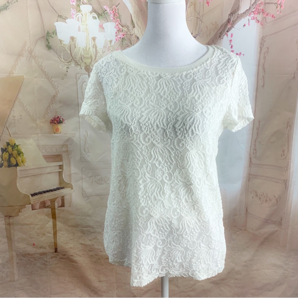 NEW T Tahari Crew Neck Lace Ivory Blouse